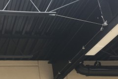 Bird Control Services - net installation at a local business