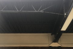 Bird Control Services - net installation at a local business