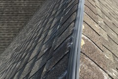 Bird  Control Services - net installation at a local business