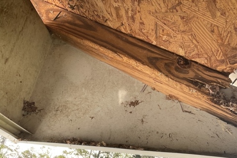 Damage caused by squirrels in a homeowner’s attic