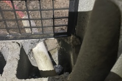 Entry points for rats in a crawlspace at a home on James Island, SC