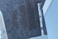 Build up of Bat guano on a roof on Folly Beach, SC