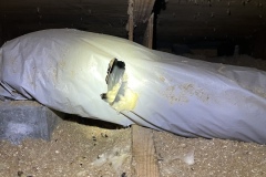 Major damage to ductwork and AC lines from rats and squirrels at a home on Folly Beach, SC
