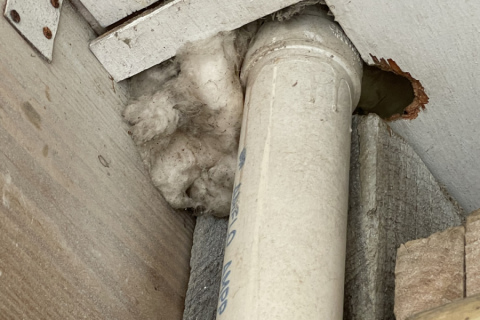 Rodent damage at a home on Folly Beach, SC