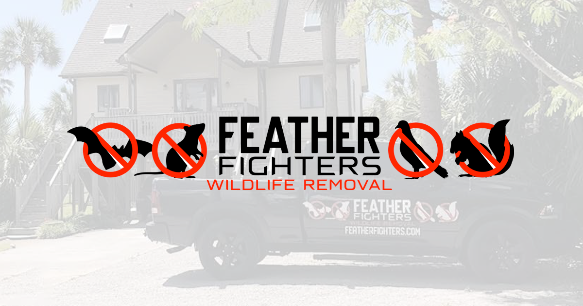 (c) Featherfighters.com
